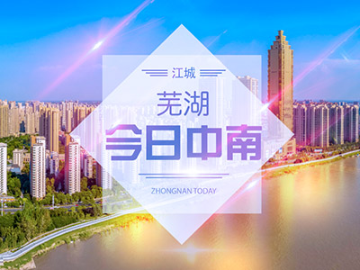 蕪湖市弋江區中南街道基層治理示范項目 